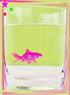 ....................................